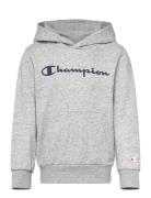Hooded Sweatshirt Grey Champion