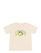 Tnstshelly S_S Tee Cream The New