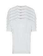 Dp 5 Pack T-Shirts White Denim Project