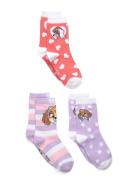 Socks Patterned Paw Patrol