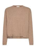 Ypawood Brown American Vintage