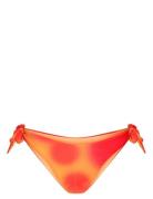 Waverly Bikini Briefs  SUI AVA