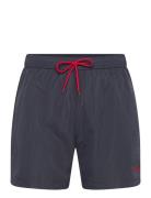 Swimshorts Navy Lindbergh
