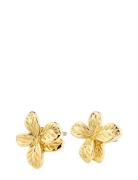 Charmaine Earrings Gold-Plated Gold Pilgrim