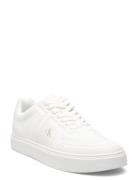 Classic Cups Laceup Knit White Calvin Klein