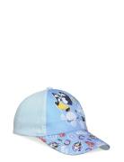Cap Blue Bluey