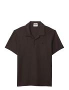 Ss Easy Micro Waffle Camp Polo Brown Calvin Klein Jeans