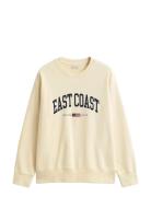 Spray Graphic C-Neck Cream GANT