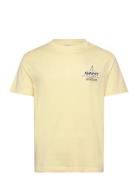 Graphic Ss Tshirt Yellow GANT