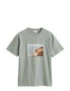 Scenery Graphic Ss Tshirt Green GANT