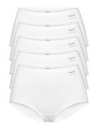 Decoy Maxi Brief, 5-Pack Gots White Decoy