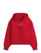 Th X Cf1 Boxy Varsity Hoodie Red Tommy Hilfiger