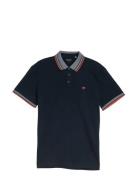Printed Polo Navy Tom Tailor