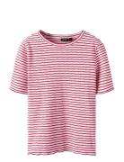 Nlfseher Ss Short S Top Red LMTD