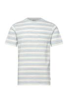 Inscotland Blue INDICODE