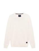 Vicesi Crew + Cream SIGNAL