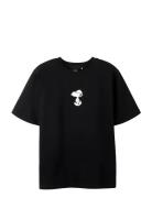 Nlnaffy Snoopy Ss L Top Box Sky Black LMTD