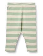 Jersey Pants Silas Green Wheat