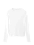 Long Sleeve Cotton T-Shirt White Mango