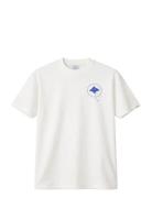 Bruce Stingray Tee White Legends