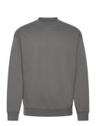Dapocrew Grey HUGO