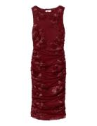 Lavinia Dress Burgundy Noella