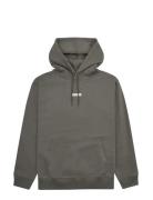 Wbpacs Base Hoodie Grey Woodbird