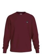 Ls 350Terry Eu Whsl Badge Crewne Burgundy Calvin Klein Jeans