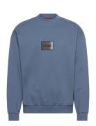Danotop Blue HUGO