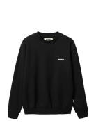 Wbcane Sumo Crew Black Woodbird