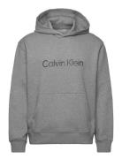 Ls Eu Standard Logo 350Terry Po Grey Calvin Klein