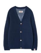 Navy Racoon Cardigan Navy THE ANIMALS OBSERVATORY