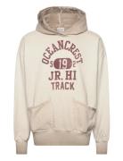 Hooded Sweatshirt Beige Champion