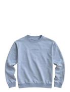 Ollie Crewneck Acid Wash Blue A QUESTION OF