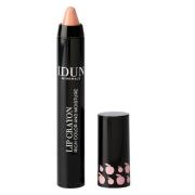 IDUN Minerals Lip Crayon 2,5 g – Agnetha