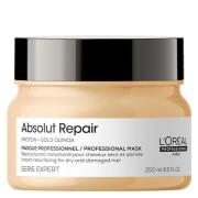 L'Oréal Professionnel Absolut Repair Masque Golden 250ml