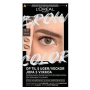 L'Oréal Paris Brow Color Kit Semi-Permanent Eyebrow Color 30 ml –