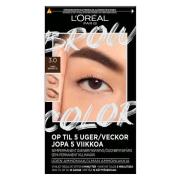 L'Oréal Paris Brow Color Kit Semi-Permanent Eyebrow Color 30 ml –