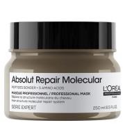 L'Oréal Professionnel Absolut Repair Molecular Rinse-Off Mask 250