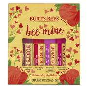 Burt's Bees Bee Mine Lip Balm 4 kpl