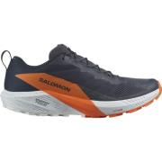 Salomon Men's Sense Ride 5 GORE-TEX India Ink/Carbon/Dragon Fire