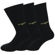 Avignon Unisex Liner Wool 3-Pack Basic Black