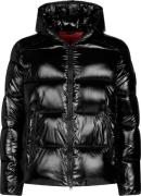 Save the Duck Men's Animal Free Hooded Puffer Jacket Edgard Black