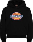 Dickies Youth Logo Hoodie Knit Black