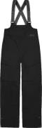 Picture Organic Clothing Women's Elwy Bib Pants Black