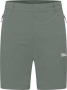 Jack Wolfskin Men's Hikeout Shorts Slate Green