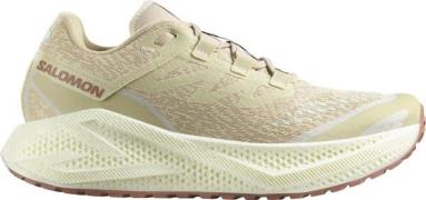 Salomon Men's Aero Glide 3 Grvl Green Haze/vanilla Ice/russet