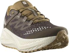 Salomon Men's Aero Glide 3 Grvl Wren/Vanilla Ice/Coyote Brown