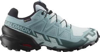 Salomon Women's Speedcross 6 GORE-TEX Ballad Blue/Black/Tourmaline