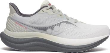 Saucony Men's Triumph 23 Wide Grey/shadow